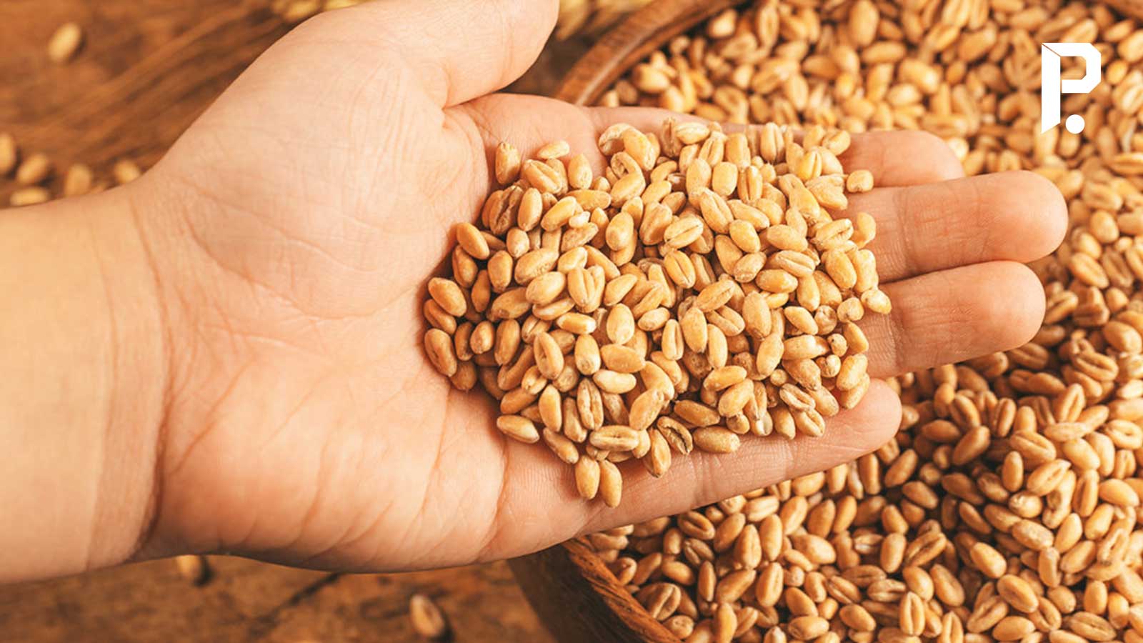 Malayalam Business News