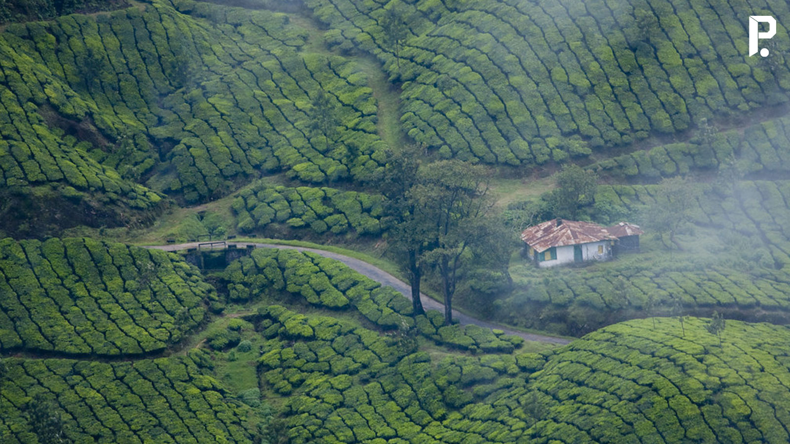 Malayalam Business News