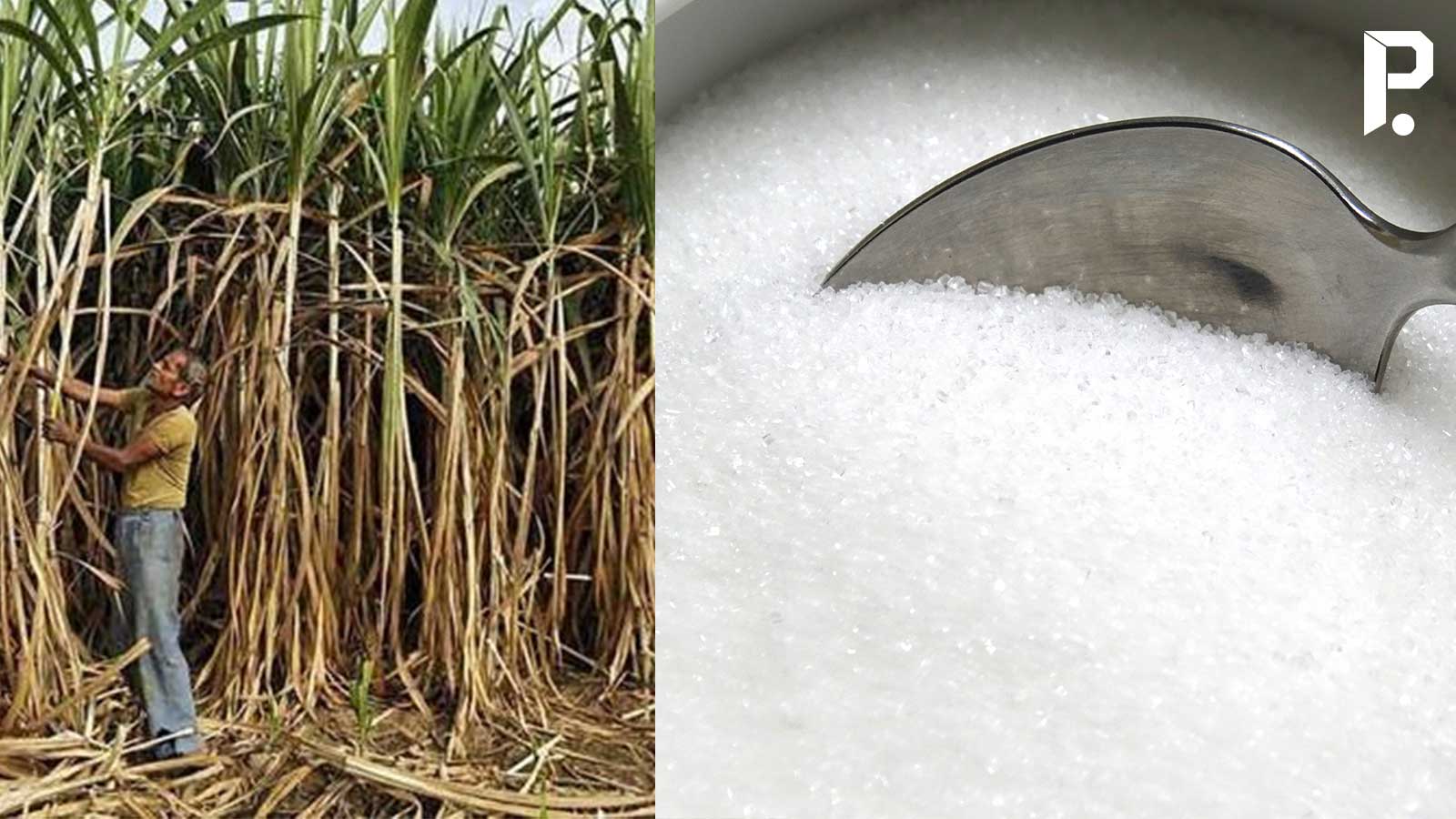 Malayalam Business News